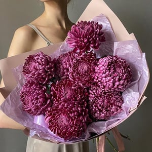 Пышный букет из винных хризантем