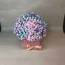 Коробка с цветами «Радуга» из гипсофил