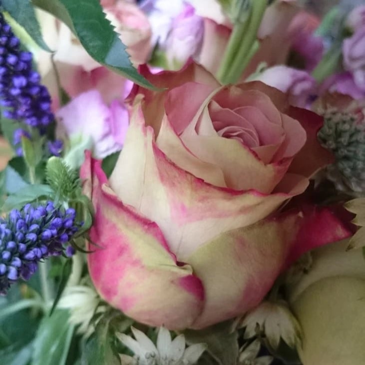 Blumen 24 Stunden Lieferung - günstige Preise