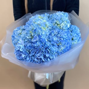 Букет из 9 голубых гортензии