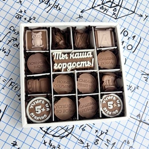 Набор школьник