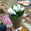 Букет из 15 белых тюльпанов