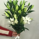 Букет «Чистые намерения» из лилий