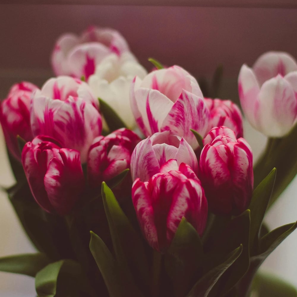 Blumenstrauß zum Weltfrauentag mit rosa Rosen und frühlingshaften Blüten