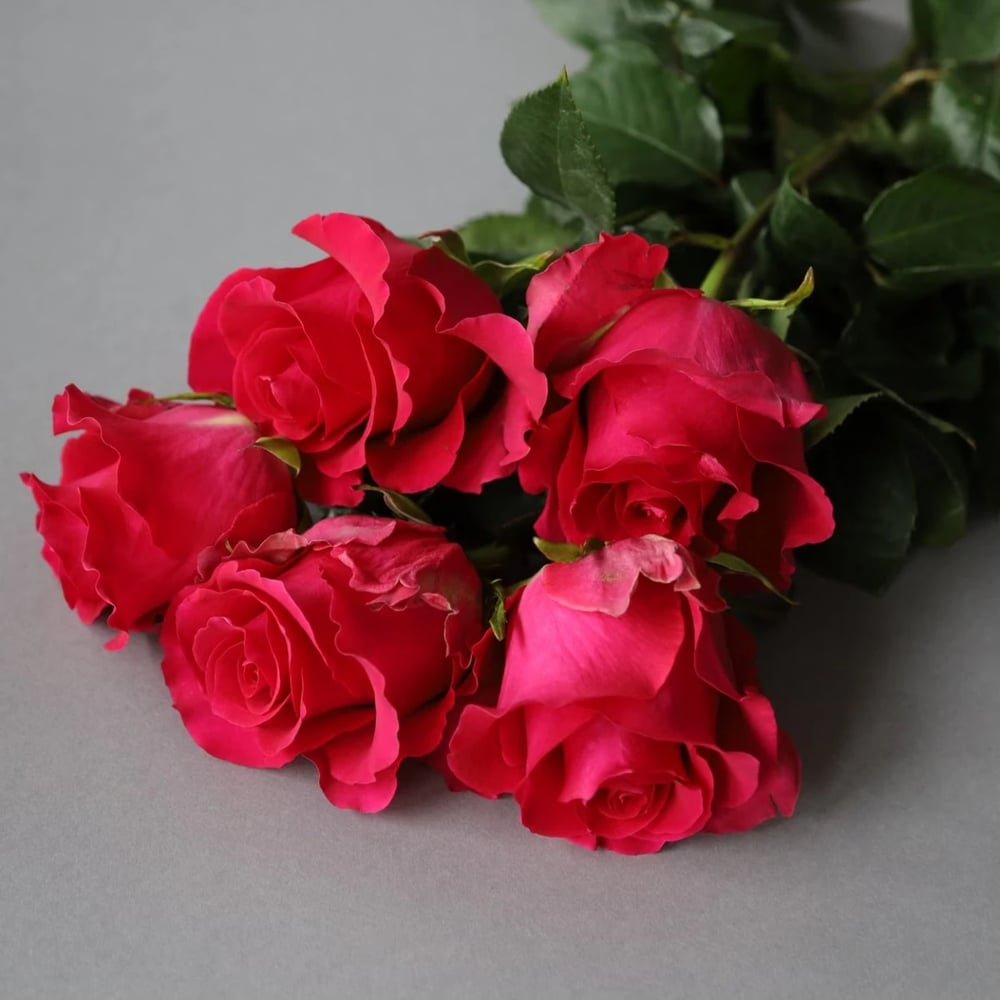 Rose bouquet delivered in Buffalo