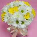 Шляпная коробка с цветами «Солнечное настроение» из хризантем