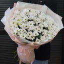 Букет из 15 кустовых хризантем