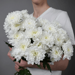Монобукет из 5 белых хризантем