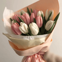 Букет из 15 нежных тюльпанов