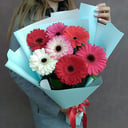 Букет «7 ярких крупных гербер в матовой пленке»