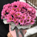 Композиция «Энна»