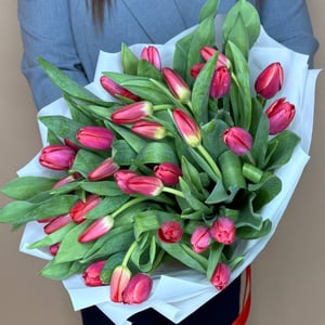 Букет из 51 красных тюльпанов