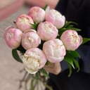 Букет «Пудровое настроение» из пионов