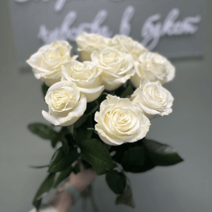 Букет из 9 белых роз под ленту