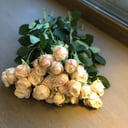 Букет «Симпатия» из роз