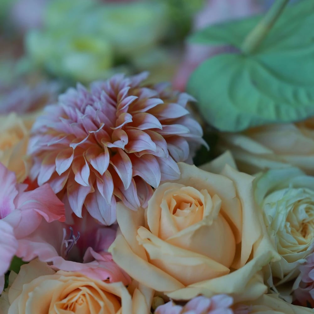 Flower delivery College Station TX