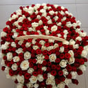 Корзина с 301 Розой