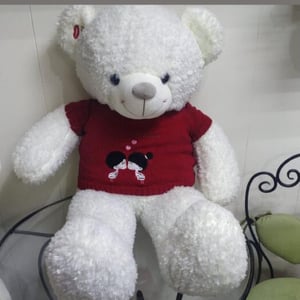 Мягкая игрушка "Мишка в майке"