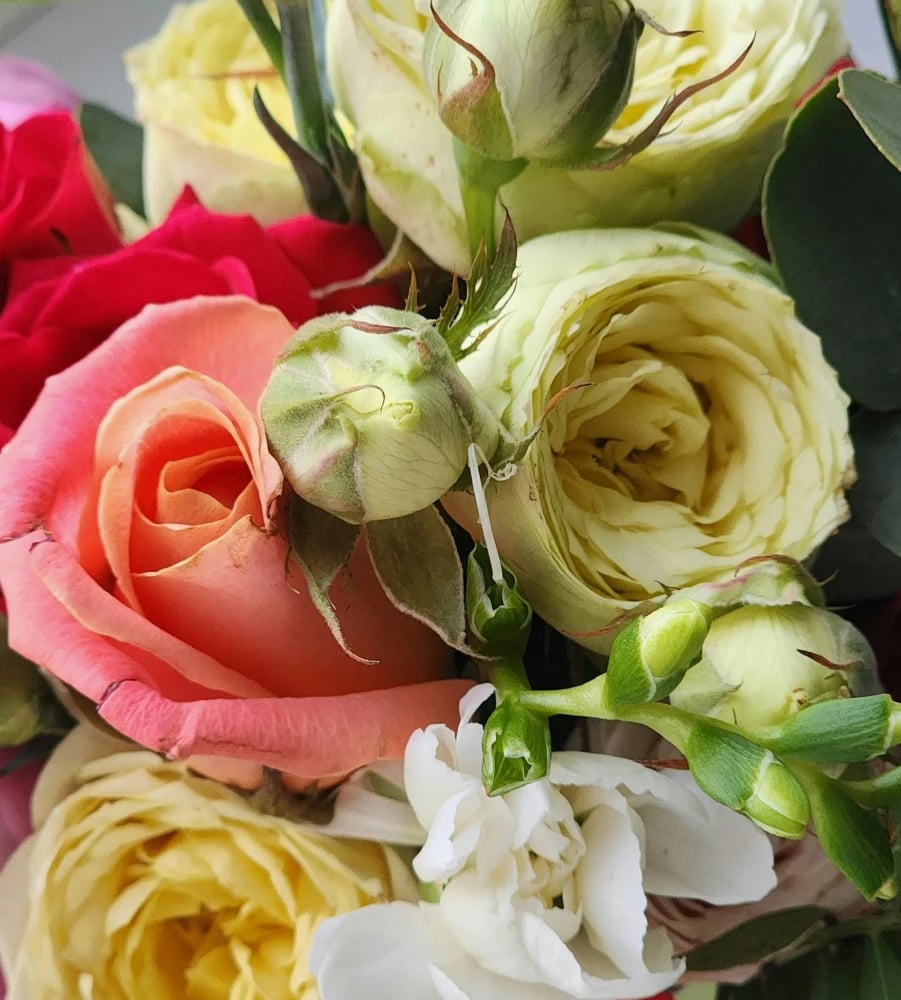 Rose bouquet delivery