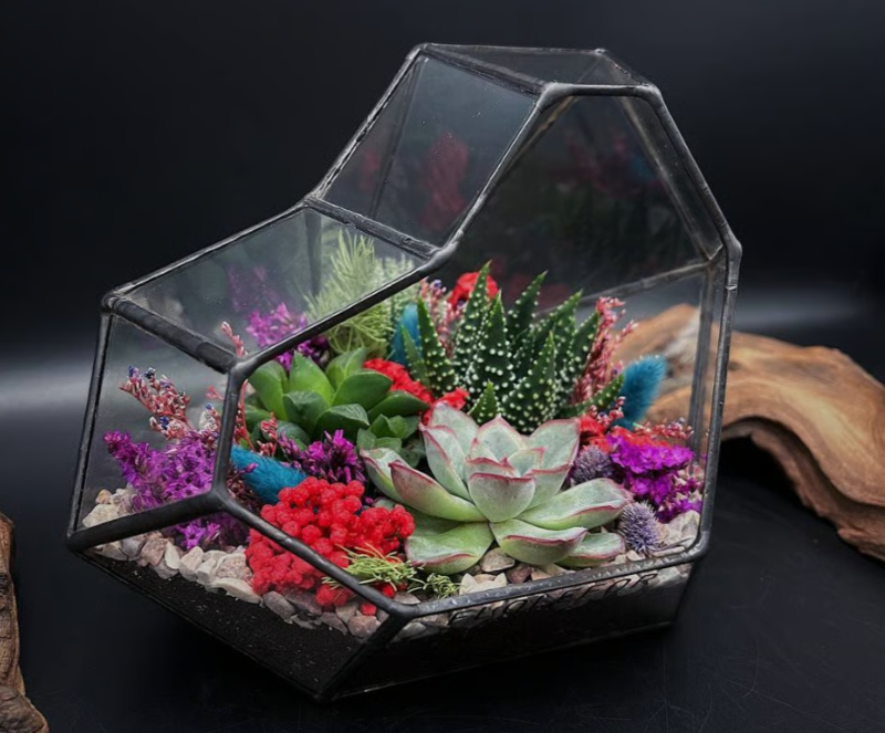 разноцветный флорариум