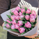 Букет розовых тюльпанов
