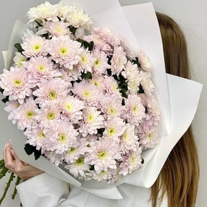 Букет нежно-розовых хризантем