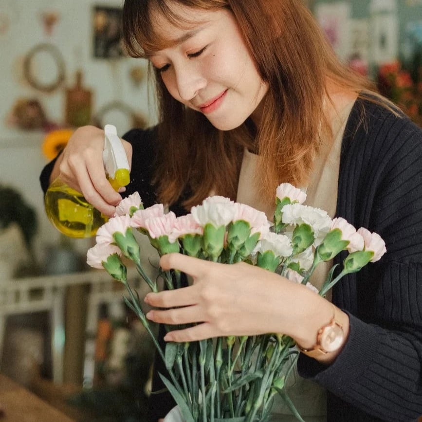 Blumen pflegen Maintal