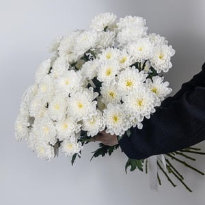 Букет из 15 хризантем