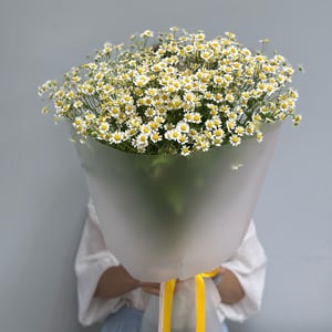 Букет «Ромашка для любимой»