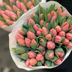 Букет розовых тюльпанов 51 шт