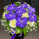 Коробка с цветами «Синие Бабочки» из орхидей и роз