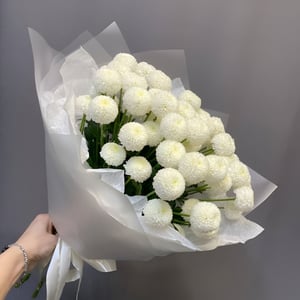 Букет хризантем Blanc de Mont Blanc