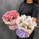 Поцелуй принцессы из орхидей