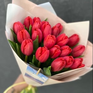 Букет красных тюльпанов 19
