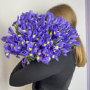 Букет «101 ирис под ленту»