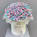 Шляпная коробка с цветами «Композиция из цветной гипсофилы»