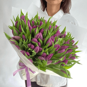 Букет из фиолетовых тюльпанов 101 шт