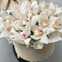 Шляпная коробка с цветами «Розовые орхидеи с эвкалиптом в бархатной»