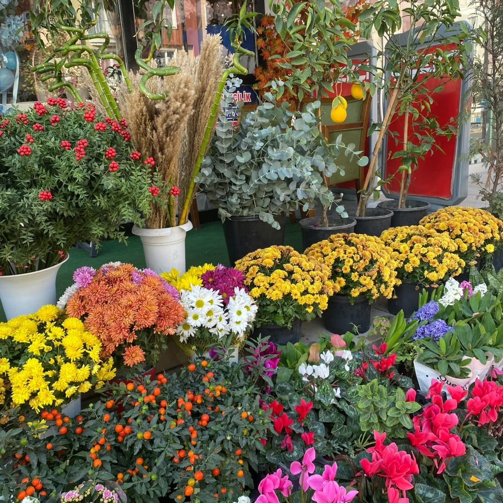 Flowers for delivery in Netherlands