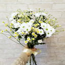 Букет «Сантини и ромашка»