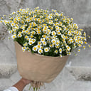 Букет «Цветущее поле» из ромашек