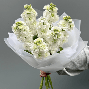 Букет с ароматной маттиолой из экзотических цветов