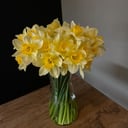 Букет из 35 нарциссов из тюльпанов