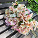 Букет «19 альстромерий»