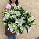 Букет из 15 белых лилий