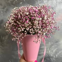 Шляпная коробка с цветами «Розовое облако гипсофилы в высокой коробке»