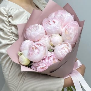 Букет из 11 пионов розовых