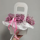 Коробка с цветами «Зефирка» из гипсофил