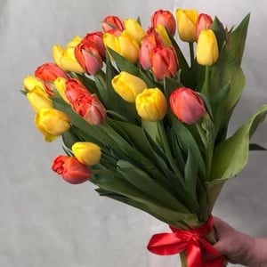 Букет «Тюльпан желто оранжевый микс(27 шт.)»