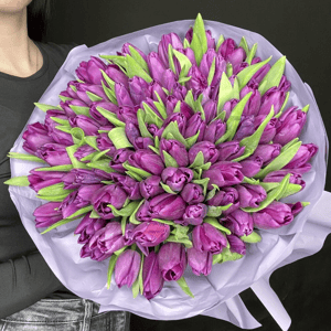 Букет из фиолетовых тюльпанов 101 шт